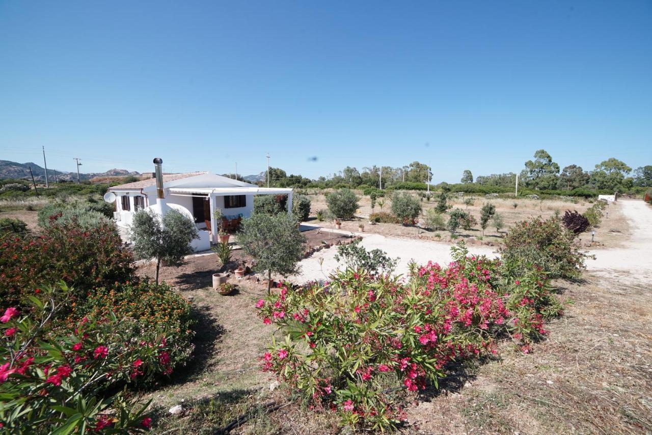 Villa Da Luciana أروسييْ المظهر الخارجي الصورة
